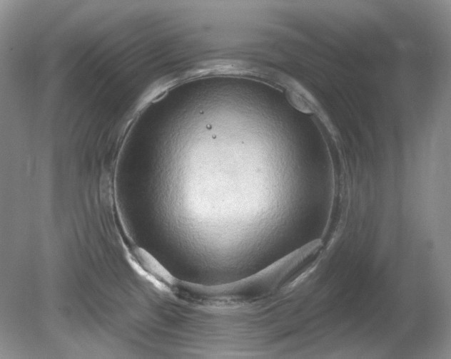 X0000079331433200611251819