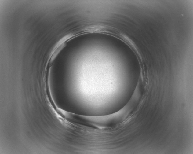 X0000079331434200611251819