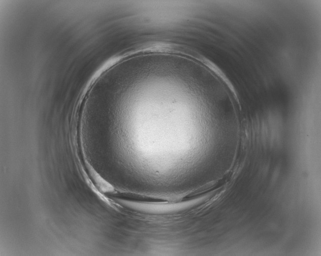 X0000079331437200611251819