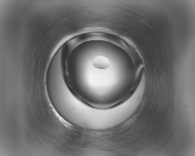 X0000079331438200611251819