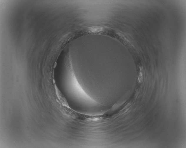X0000079331441200611251819