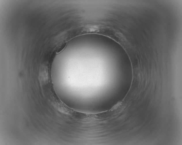 X0000079331442200611251819