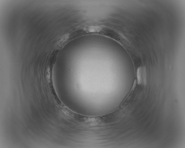 X0000079331443200611251819