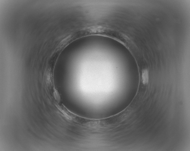 X0000079331444200611251819