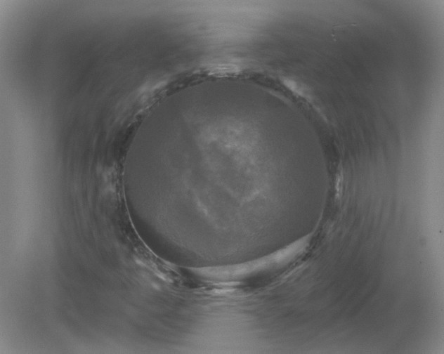X0000079331445200611251819