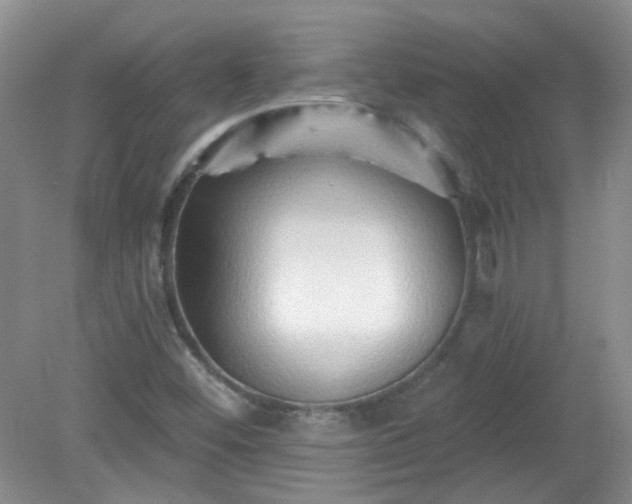 X0000079331452200611251819