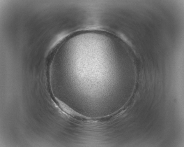 X0000079331456200611251818