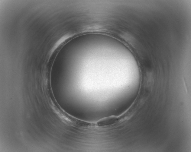 X0000079331458200611251818