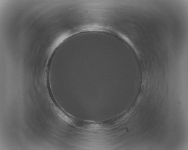 X0000079331463200611251818