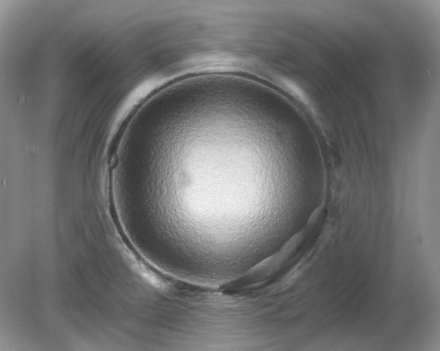 X0000079331472200611251818