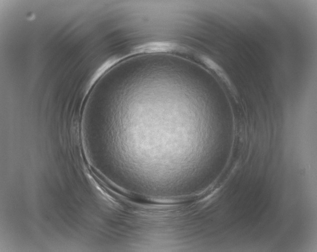 X0000079331473200611251818