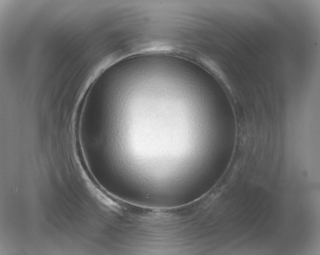 X0000079331475200611251818