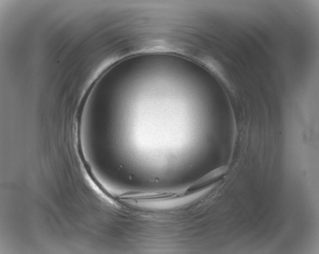 X0000079331476200611251818