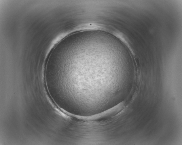 X0000079331477200611251818