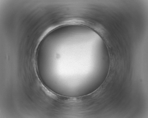 X0000079331478200611251818