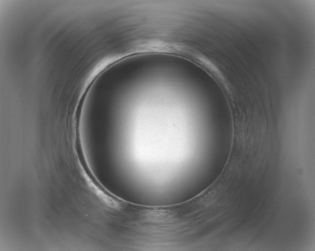 X0000079331479200611251818