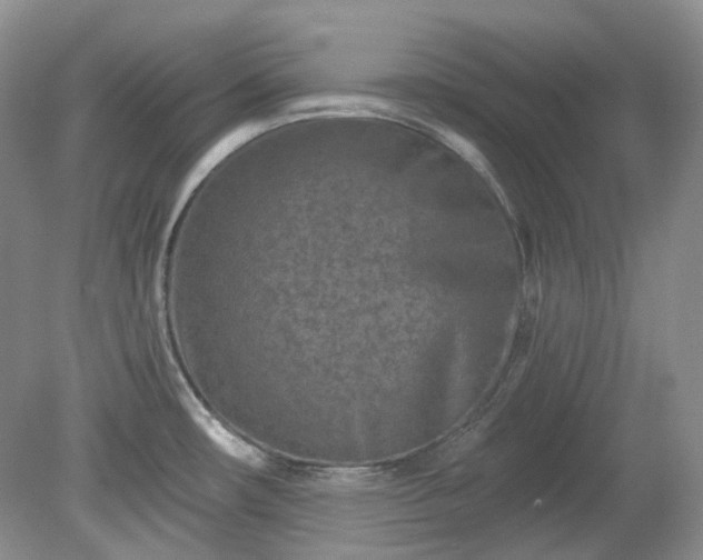 X0000079331482200611251818