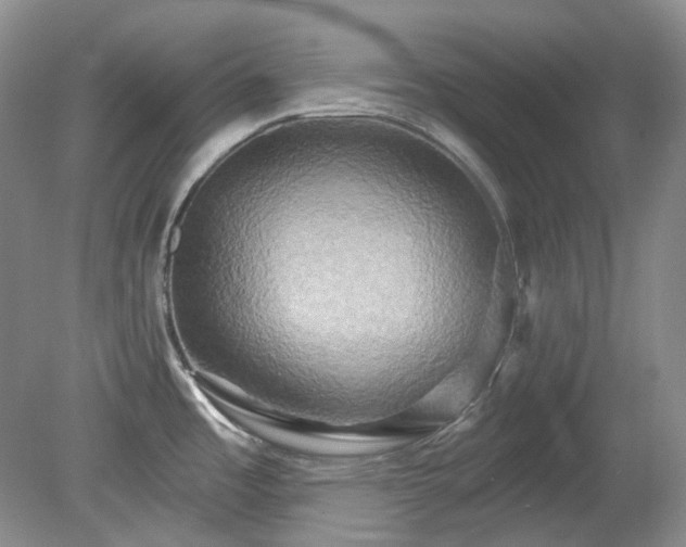 X0000079331485200611251818