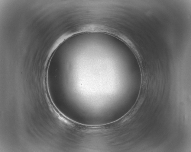 X0000079331486200611251818
