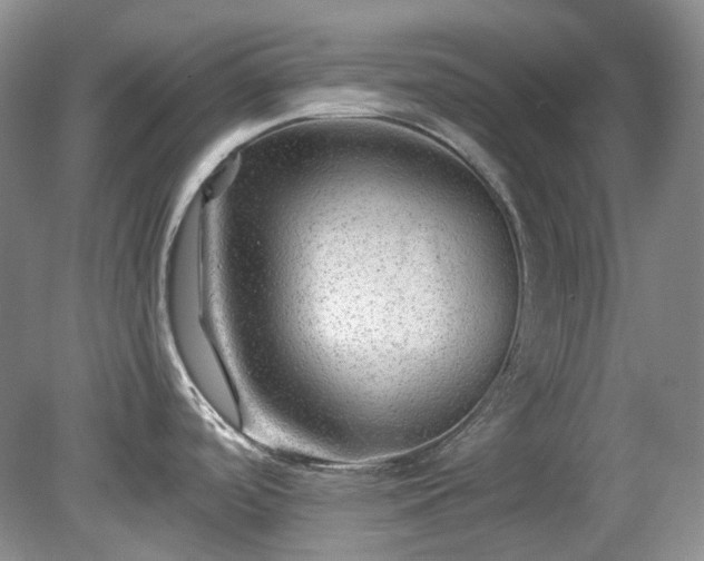 X0000079331488200611251818