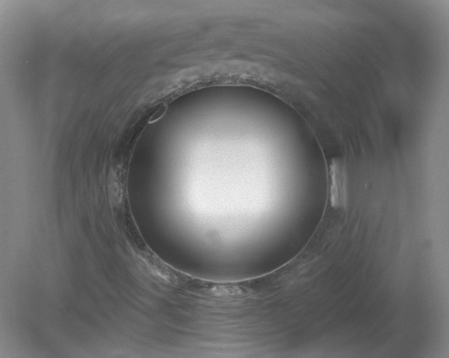 X0000079331491200611251817