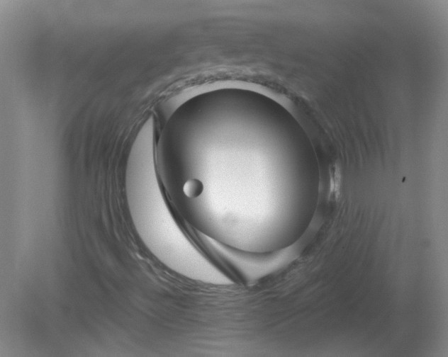 X0000079331492200611251817