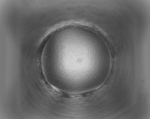 X0000079331496200611251817