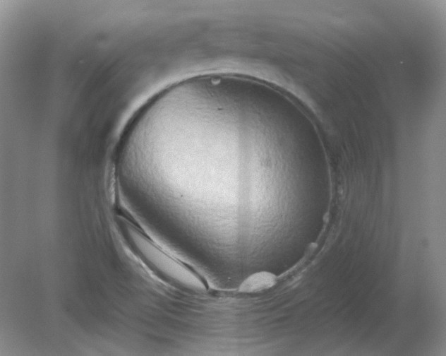 X0000079331510200611251817