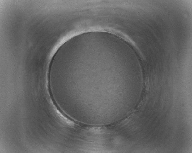 X0000079331512200611251818