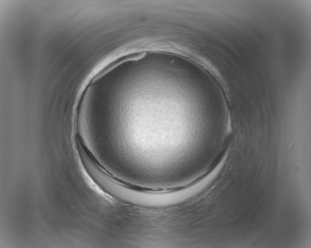 X0000079331528200611251818
