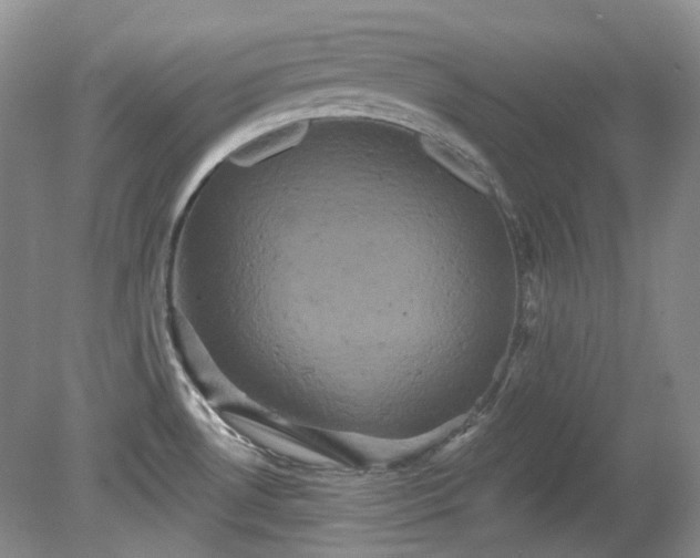 X0000079331530200611251818