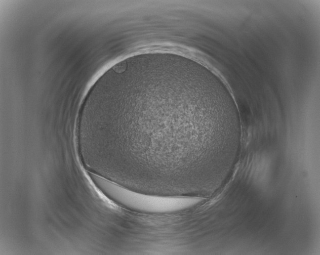 X0000079331533200611251818