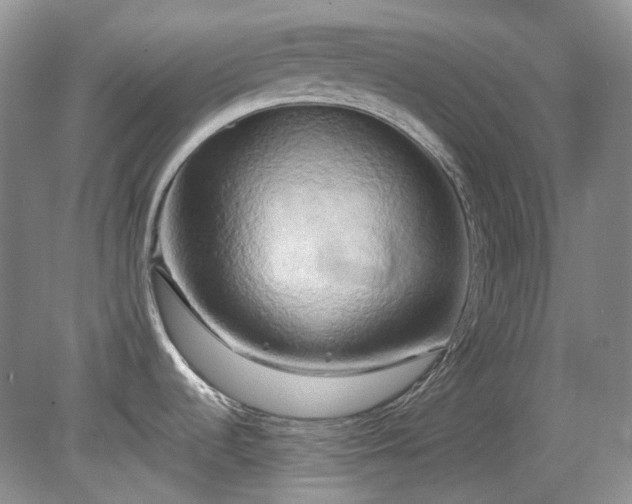 X0000079331536200611251818