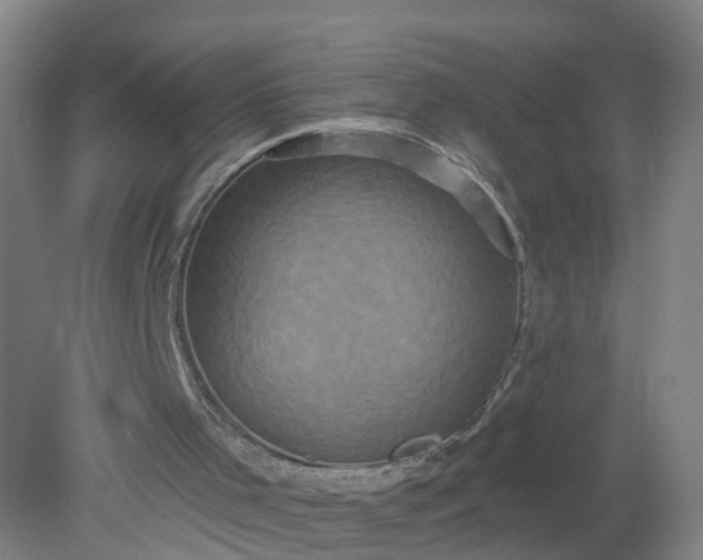X0000079330001200612011920