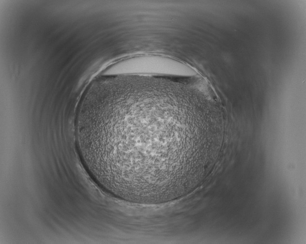 X0000079330002200612011920