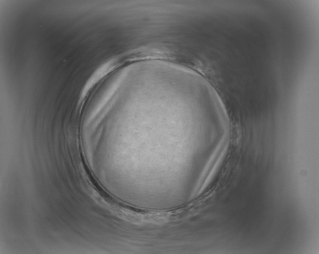 X0000079330004200612011920