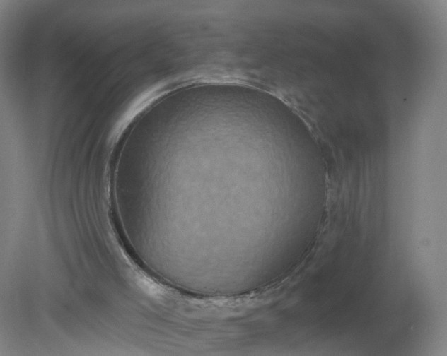 X0000079330005200612011920