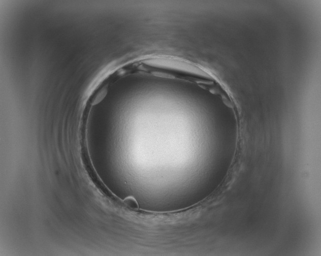 X0000079330007200612011920