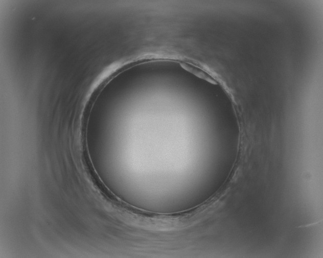 X0000079330008200612011920