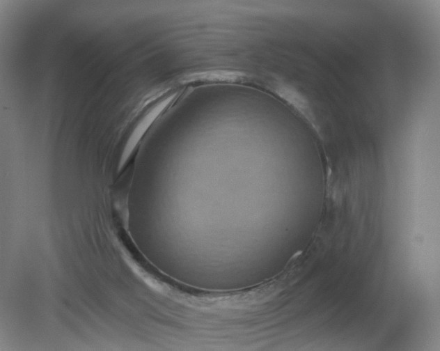 X0000079330013200612011920