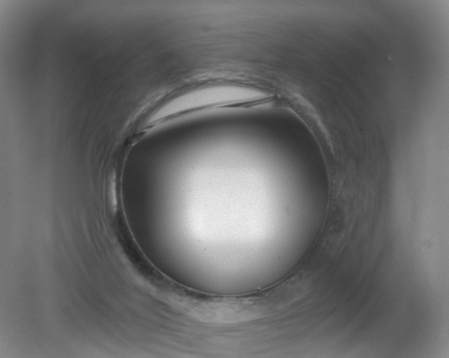 X0000079330020200612011920