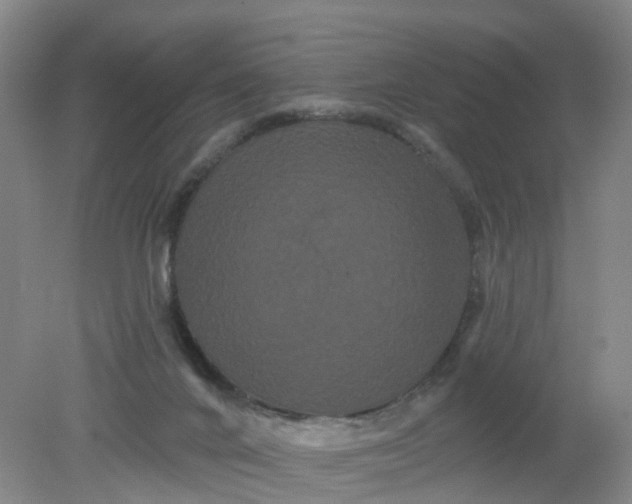 X0000079330024200612011919