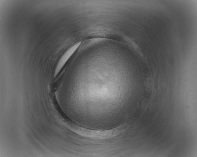 X0000079330027200612011919