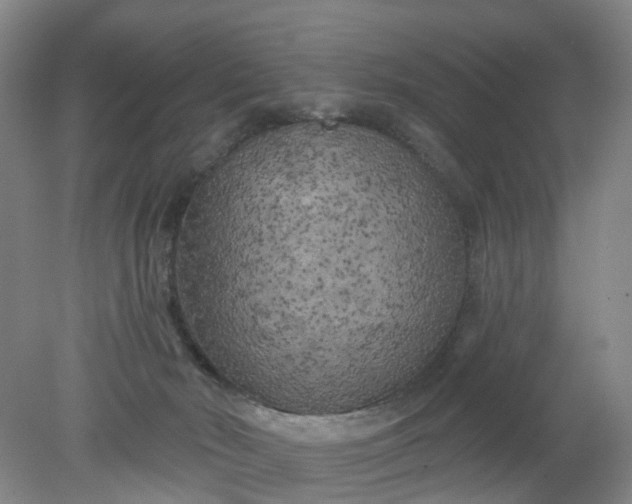 X0000079330030200612011919