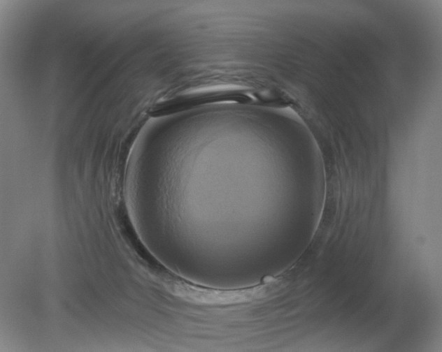X0000079330031200612011919