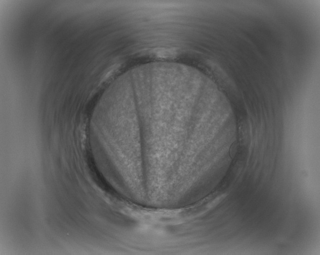 X0000079330032200612011919
