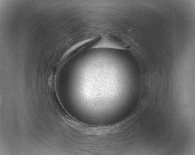 X0000079330033200612011919