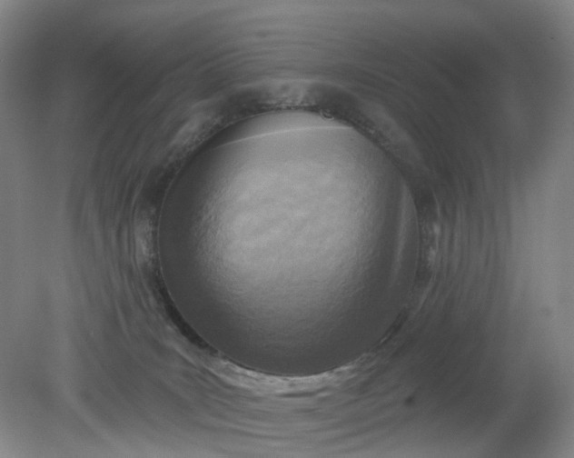 X0000079330035200612011919