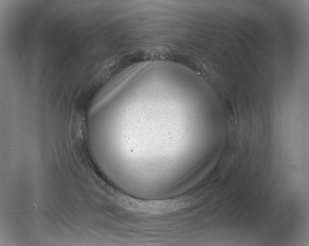 X0000079330038200612011919