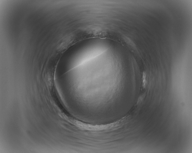 X0000079330039200612011919